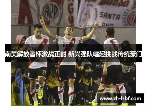 南美解放者杯激战正酣 新兴强队崛起挑战传统豪门 南美解放者杯激战正酣 新兴强队崛起挑战传统豪门